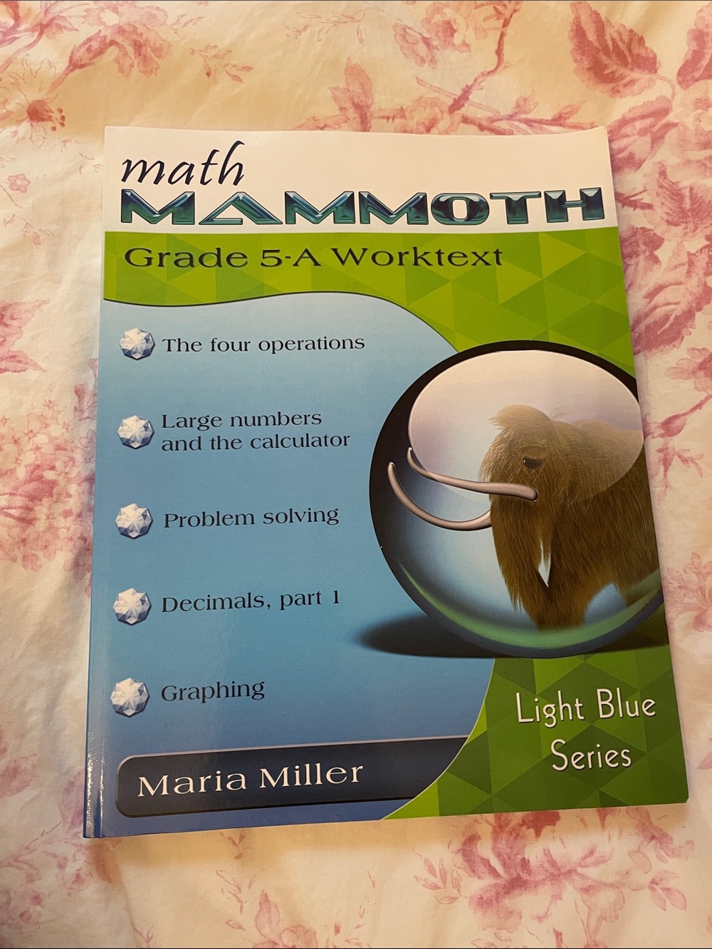 Math Mammoth Grade 5-A Worktext